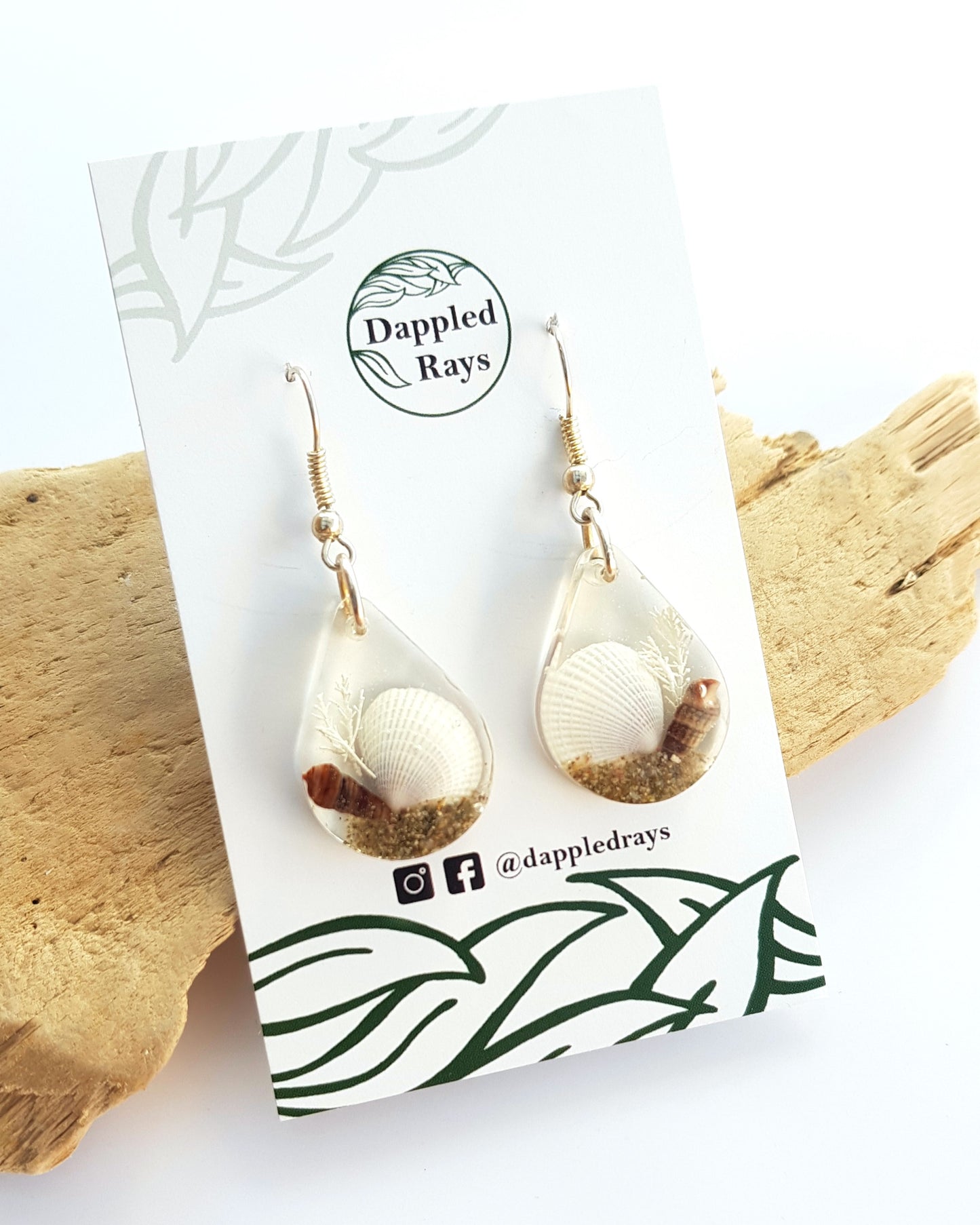 Earrings - Clam Shell - Round, Oval or Teardrop