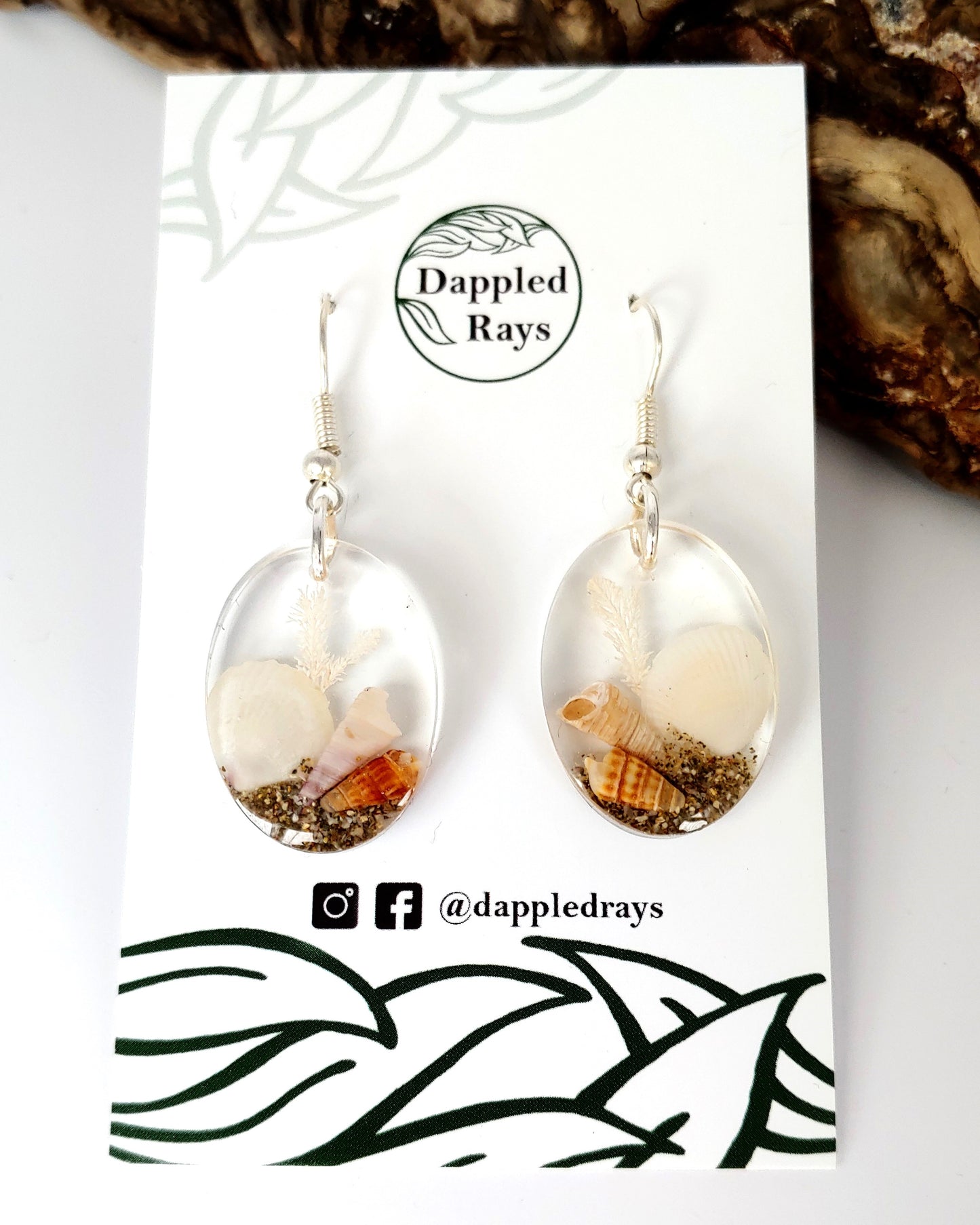 Earrings - Clam Shell - Round, Oval or Teardrop