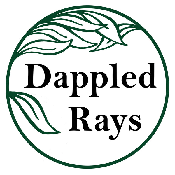 DappledRays